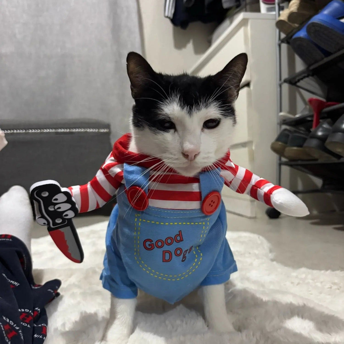 Luxare - Tiny Terror™ Costume