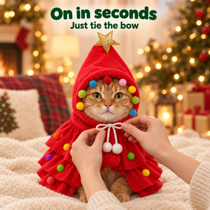 Tying the bow on a cat wearing the red Christmas tree costume, on in seconds