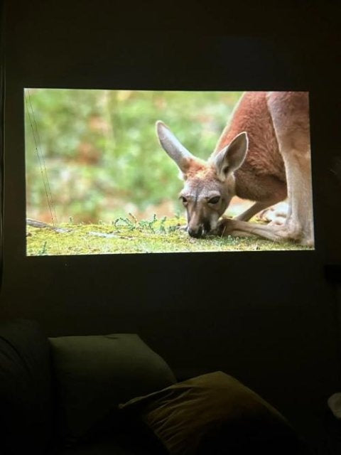 Projector on shelf with remote control