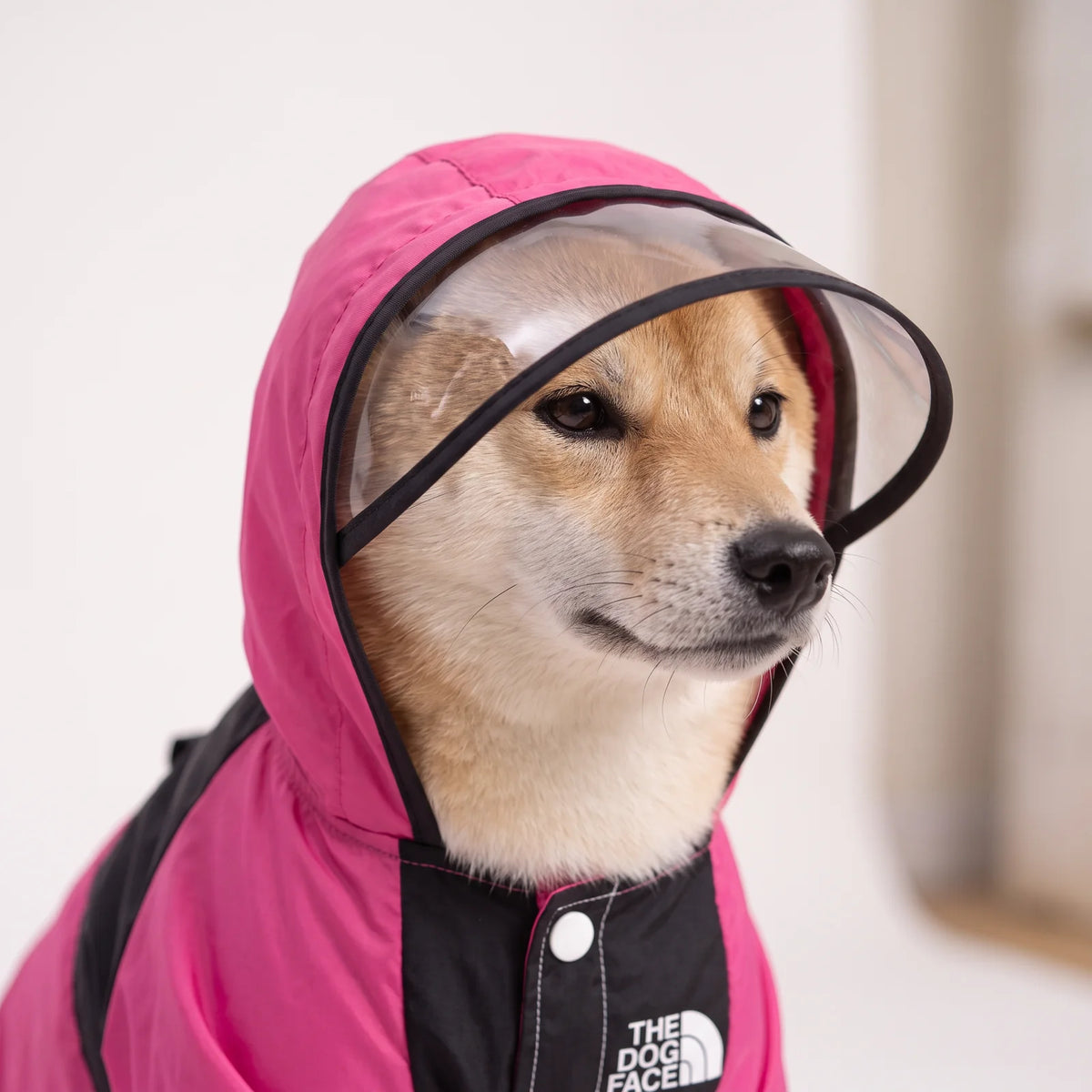 Close-up of PuddlePup's clear visor and attached pink hood