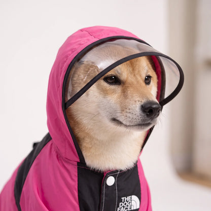 Close-up of PuddlePup's clear visor and attached pink hood