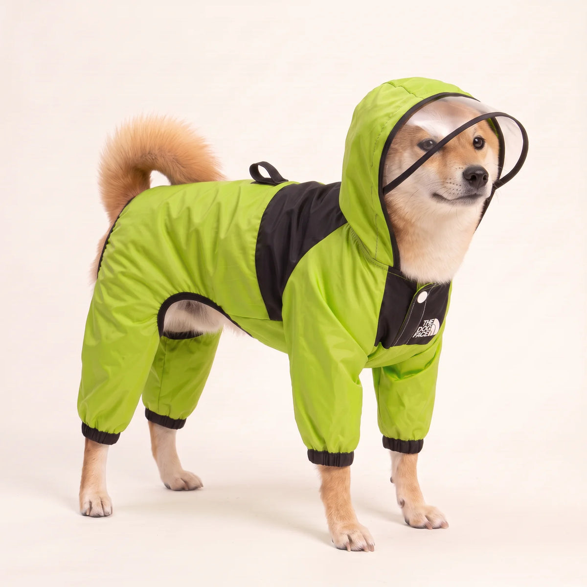 PuddlePup Green dog rain jacket with clear visor